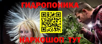 MDMA Premium VHQ Гай