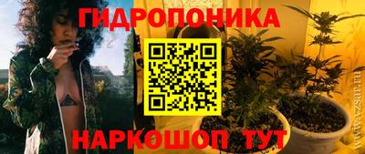 MDMA Premium VHQ Гай