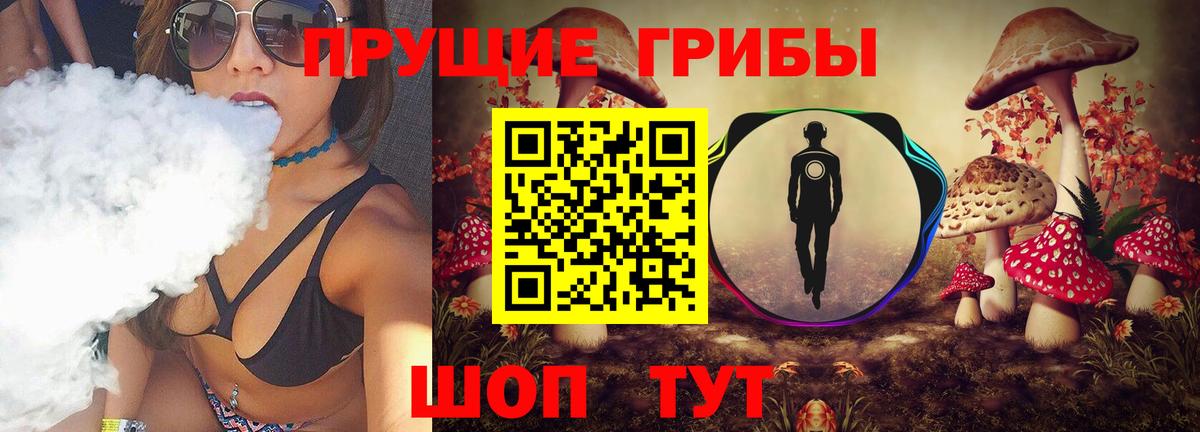 Галлюциногенные грибы Magic Shrooms  закладка  Новозыбков  Вход с VPN 