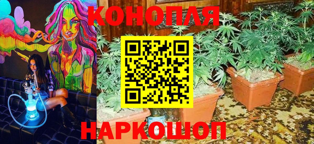 Конопля Новозыбков