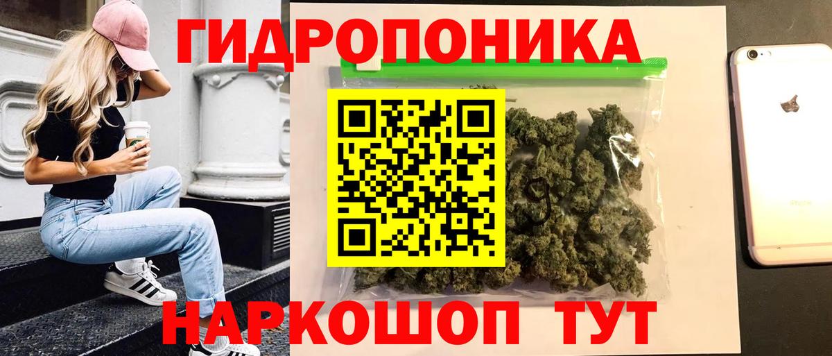Бошки марихуана семена Новозыбков